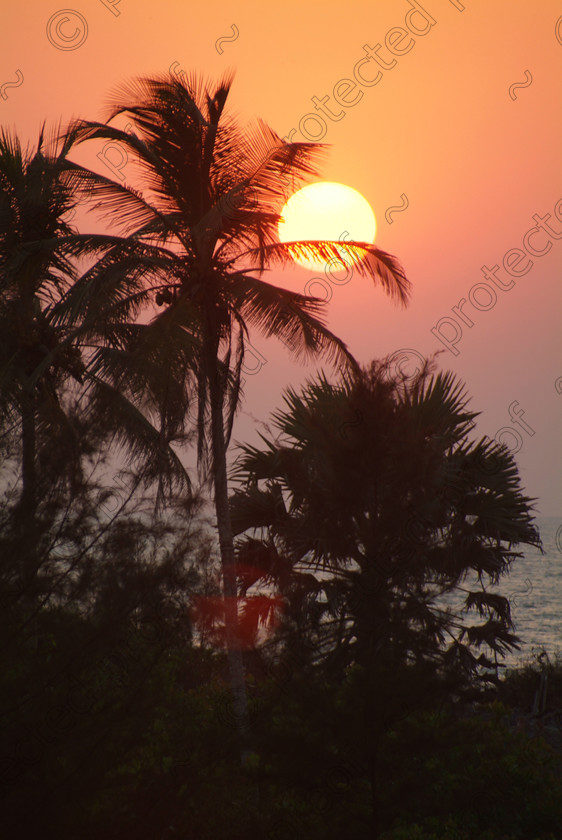 Goa D 057 
 Goan sunset, Varca 
 Keywords: Goa, Southern India, India, Varca, sunset, Salcette, sun, sand, sea, Arabian Sea, palm, sky, travel, tourism,