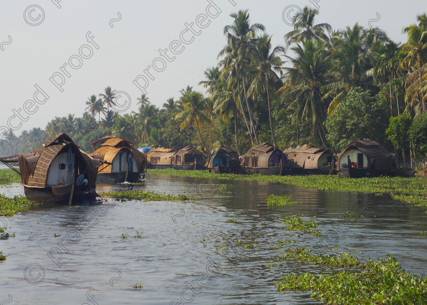 Kerala Backwaters Near Alleppey 031 
 Near Alleppey,(Alappuzha) Kerala, Southern India. 
 Keywords: Kerala, backwaters, Alleppey, Alappuzha, India, Southern India, rice barges, houseboats, kattuvalams