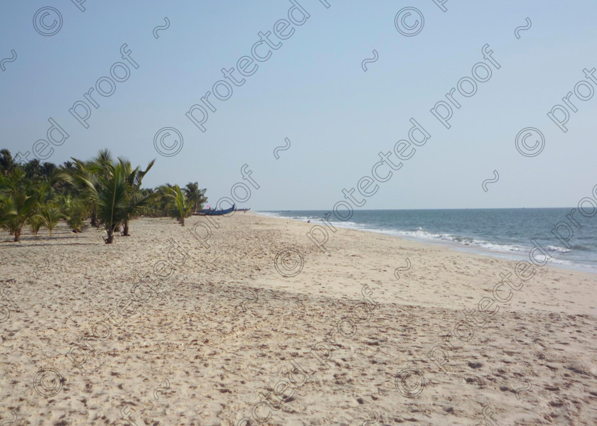 Kerala Merari Beach 067 
 Merrari Beach, Kerala, Southern India 
 Keywords: beaches, Marrari, Kerala, India, Arabian Sea, sand, beach, Southern India, palm, trees