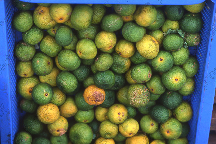 Bali 0007 
 Fresh limes, Bali, Indonesia 
 Keywords: fruit, exotic fruit, Bali, Indonesia, lime, citrus fruit, food,