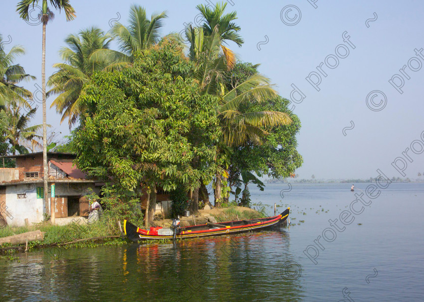 Kerala Backwaters Homestead 023 
 Kerala backwaters near Alleppey (Alappuzha) 
 Keywords: Kerala, India, Southern India, Allepey, Alappuzha, canals, waterways,