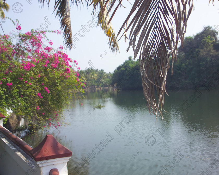 IMR00189 
 Kerala backwaters from Coconut Lagoon Hotel 
 Keywords: Kerala, India, Southern India, backwaters, canals, Coconut Lagoon Hotel, waterways, travel, tourism,