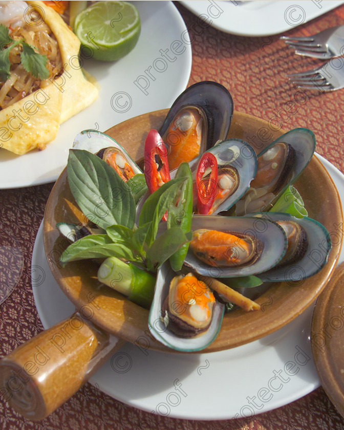 D5785840 
 Thai food 
 Keywords: Thailand, Thai food, muscles, cuisine, Oriental cuisine, dining out, food, restaurants, dining, eating, sea food, chilli
