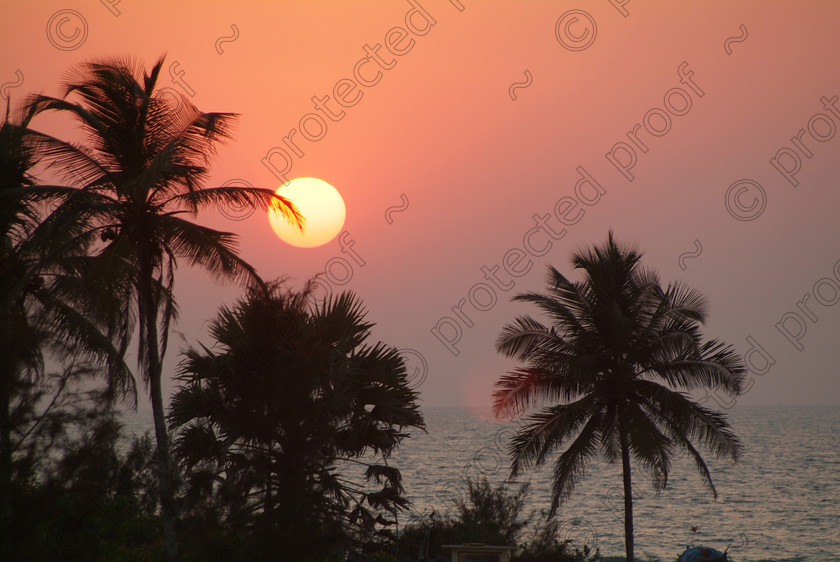 Goa D 062 
 Goan Sunset 
 Keywords: Goa, sunset, Southern India, India, Salcette, palms, sun, Arabian Sea, beach, Varca, sea, sky, travel, tourism,