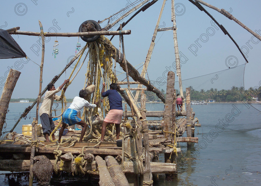 Cochin Chinese Fishing Nets 030 
 Cochin, Kerala, Southern India. Fishermen work the Chinese fishing nets 
 Keywords: fishing, Chinese fishing nets, Cochin, Kerala, India, Cochi, Southern India, ethnic people