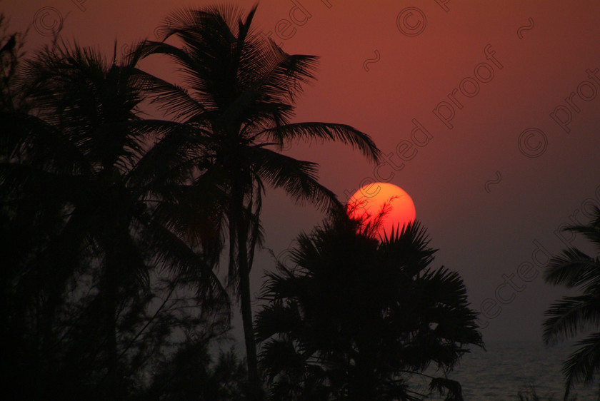 Goa D 069 
 Goan sunset 
 Keywords: sunset, Goa, Varca, Arabian Sea, Salcette, Arabian Sea, India, Southern India, palm, sun, sky, travel, tourism,